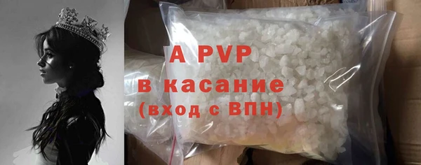 дживик Переславль-Залесский