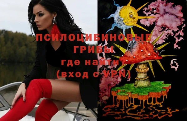 МДПВ Осташков
