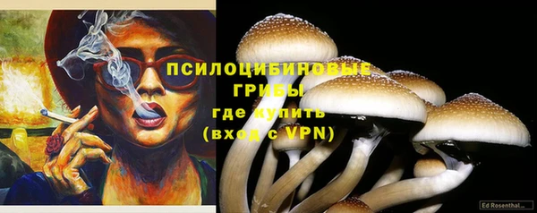 МДПВ Осташков
