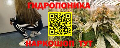 гидра Нальчик