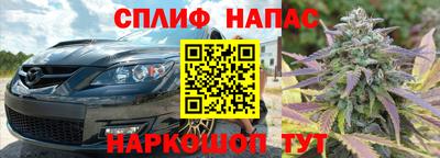 гидра Нальчик