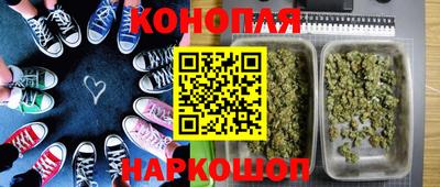 гидра Нальчик