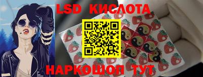 гидра Нальчик