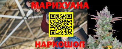 гидра Нальчик