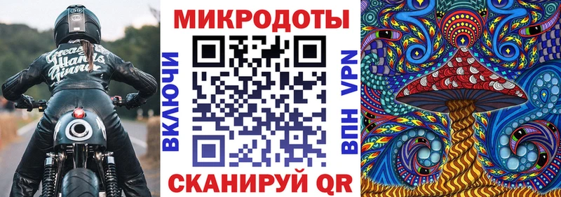 купить закладку  Ревда  Псилоцибиновые грибы MAGIC MUSHROOMS 