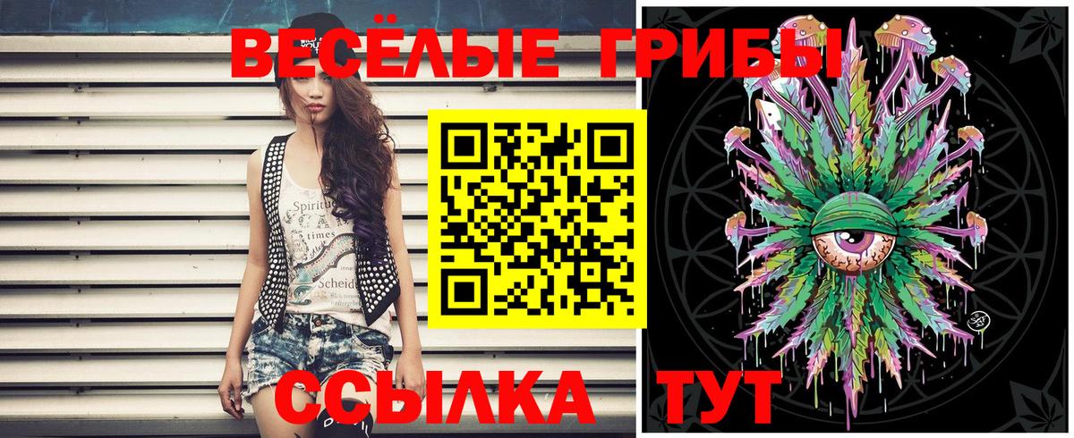 Ревда  Псилоцибиновые грибы MAGIC MUSHROOMS  Вход с VPN 